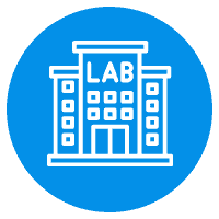 Labs